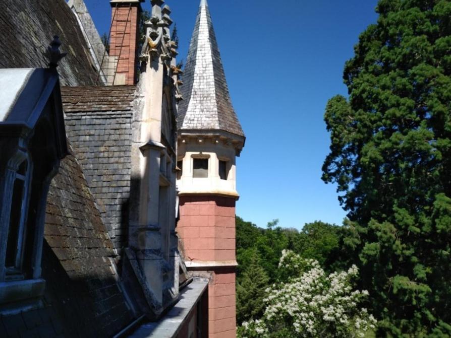 Château de la Vernède Saint-Rémy-de-Chargnat Exterior foto